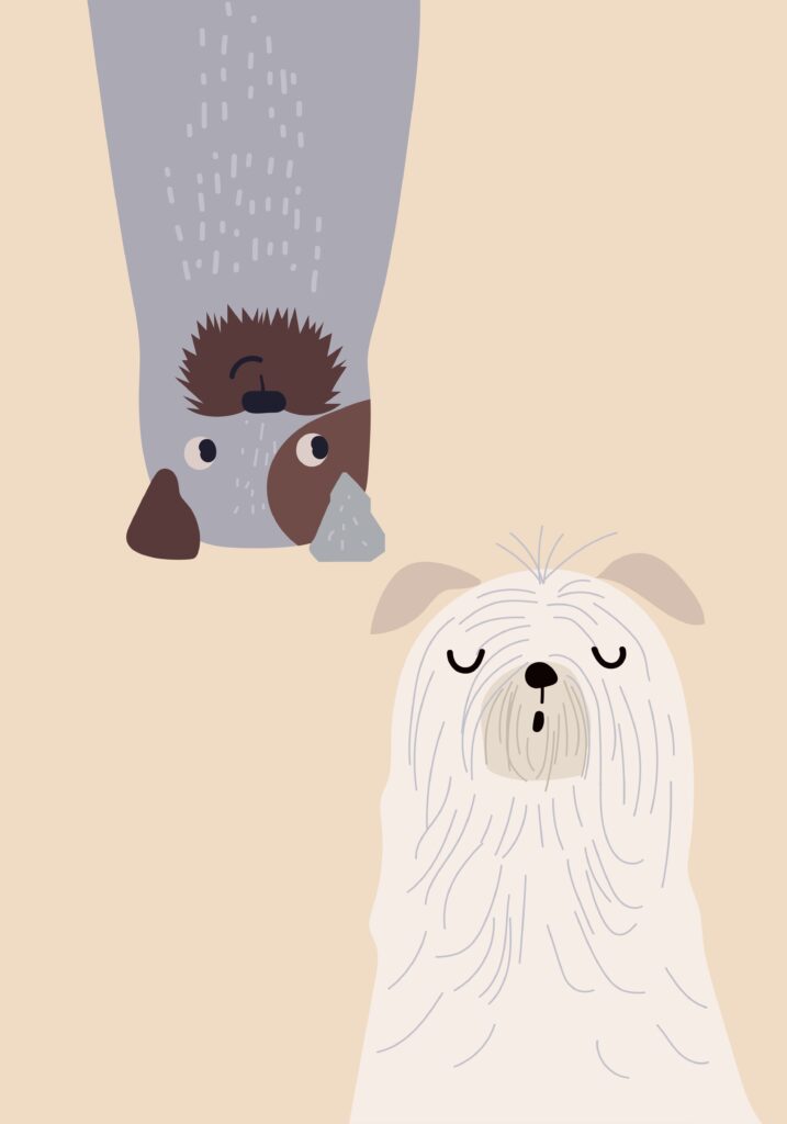 L'immagine attuale non ha un testo alternativo. Il nome del file è: biancavandijk-dogs-9275641-scaled.jpg